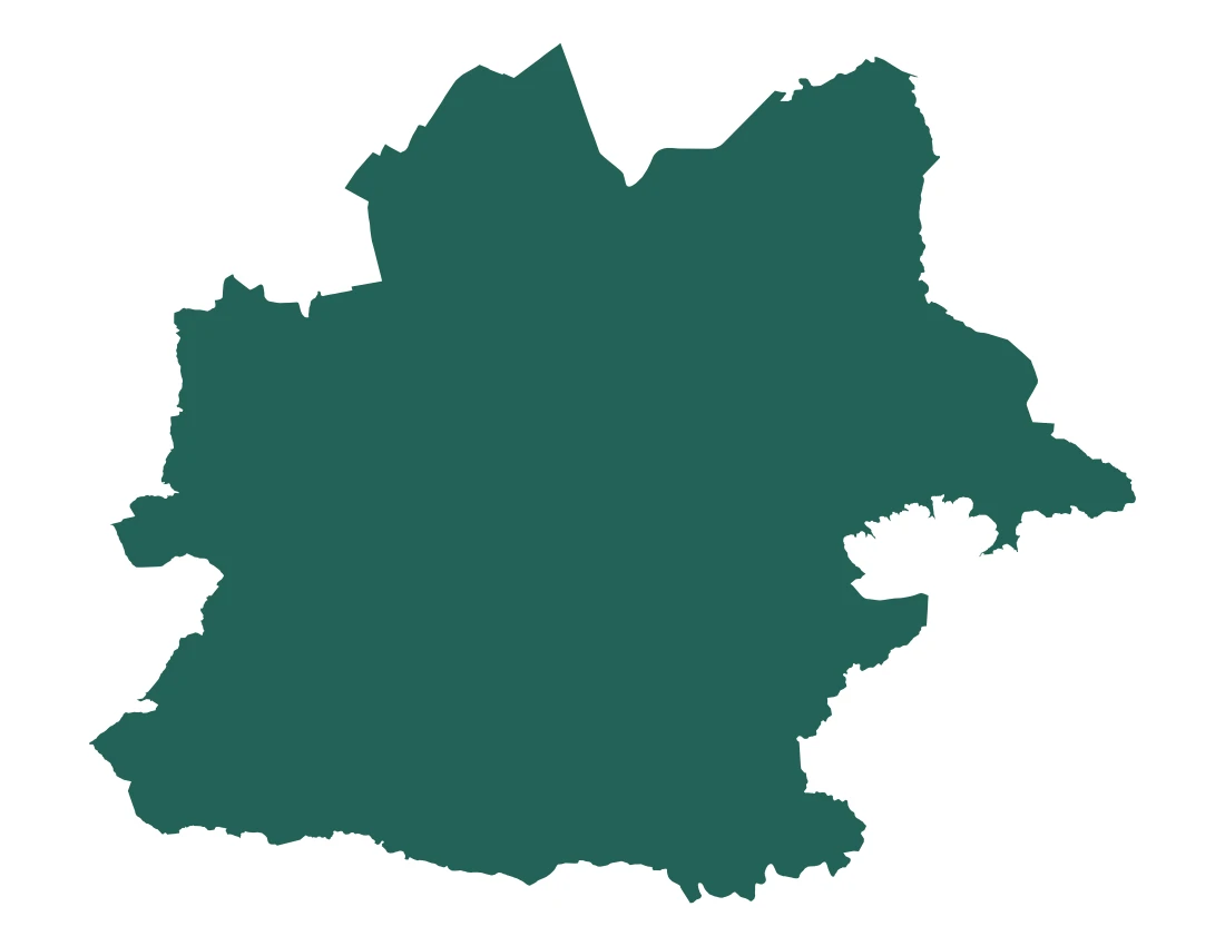 Forma con la figura de la microrregión Puebla