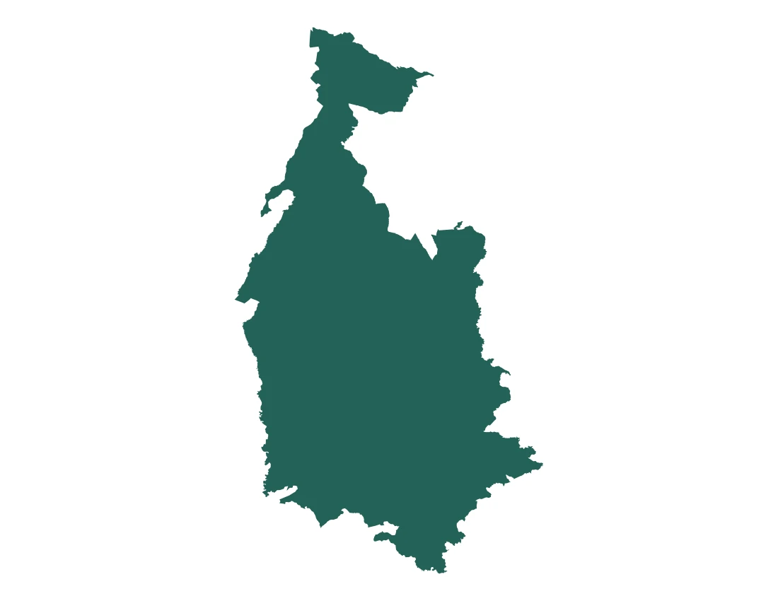 Forma con la figura de la microrregión Izúcar de Matamoros