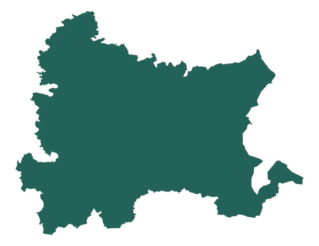 Forma con la figura de la microrregión Acatlán