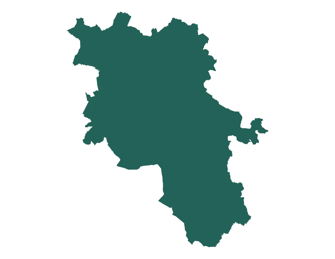 Forma con la figura de la microrregión Tehuacán