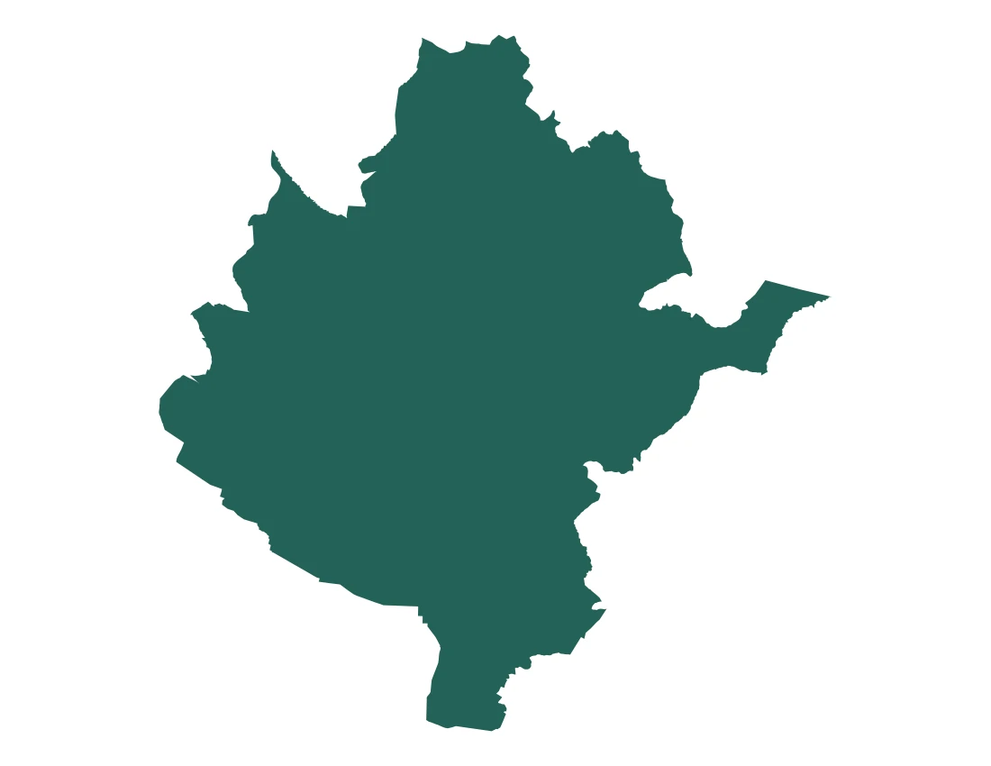 Forma con la figura de la microrregión Tehuacán