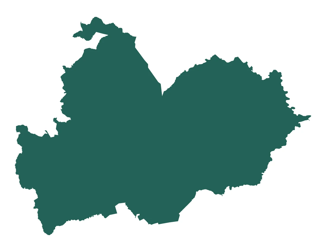 Forma con la figura de la microrregión Ajalpan