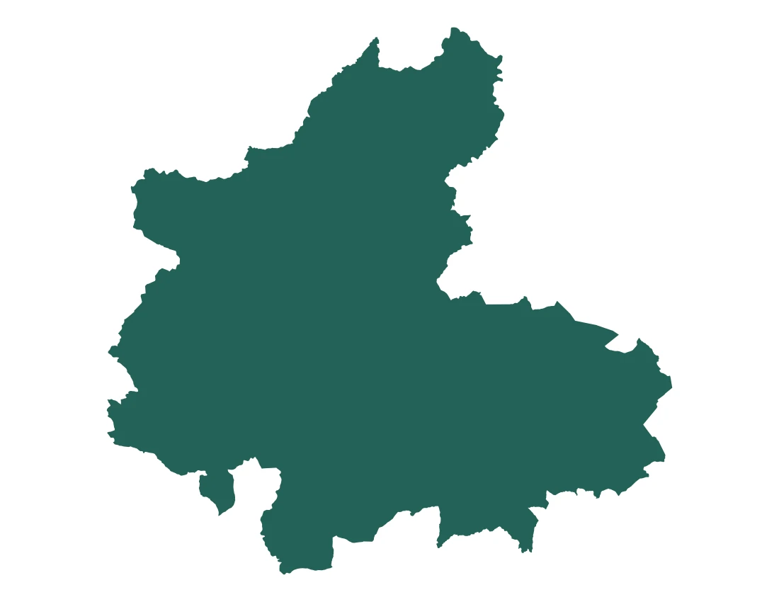 Forma con la figura de la microrregión Cuautempan