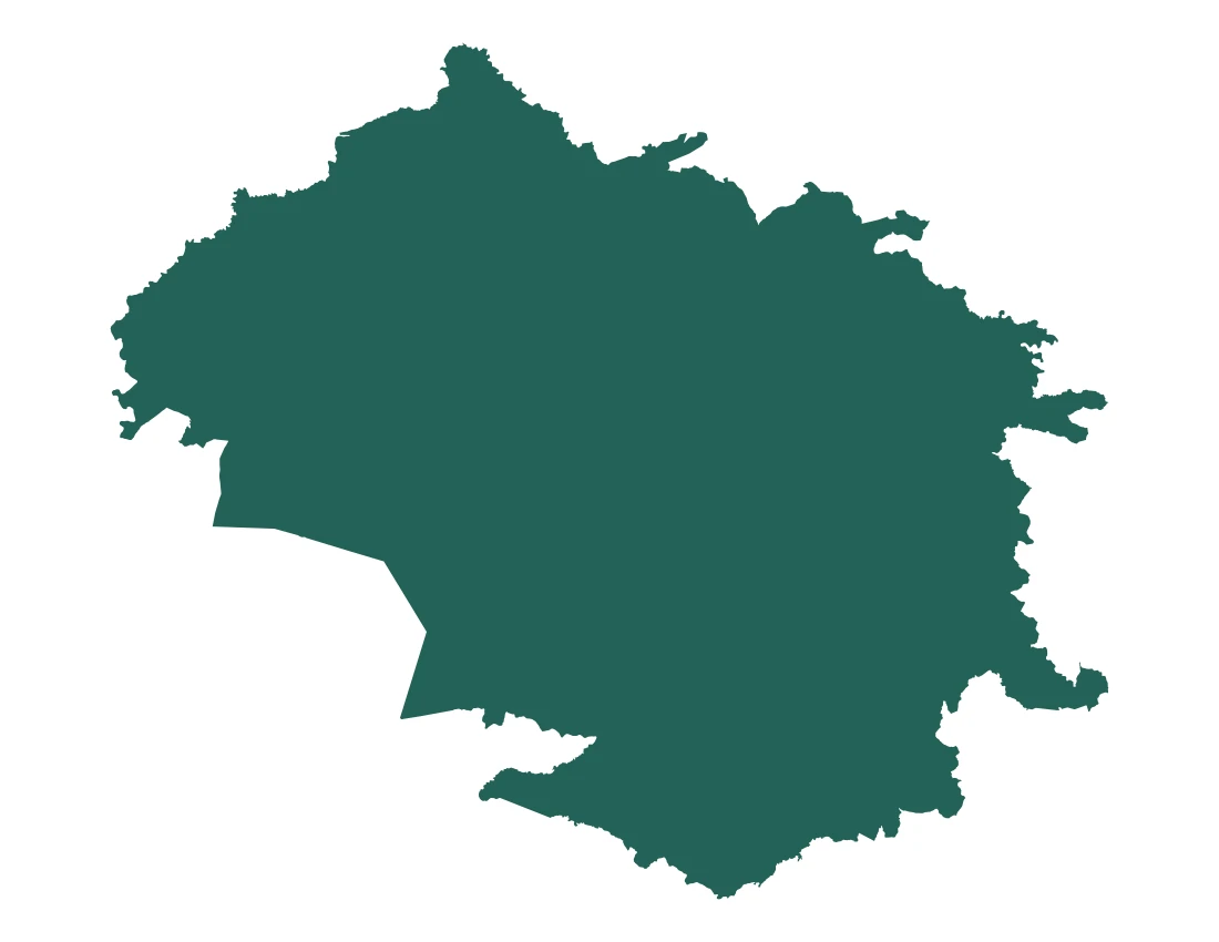 Forma con la figura de la microrregión Chiautla