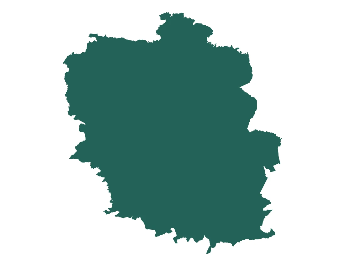 Forma con la figura de la microrregión Tepexi de Rodríguez