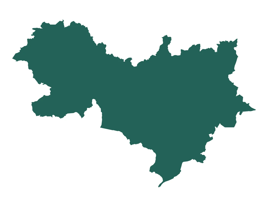 Forma con la figura de la microrregión Chignahuapan