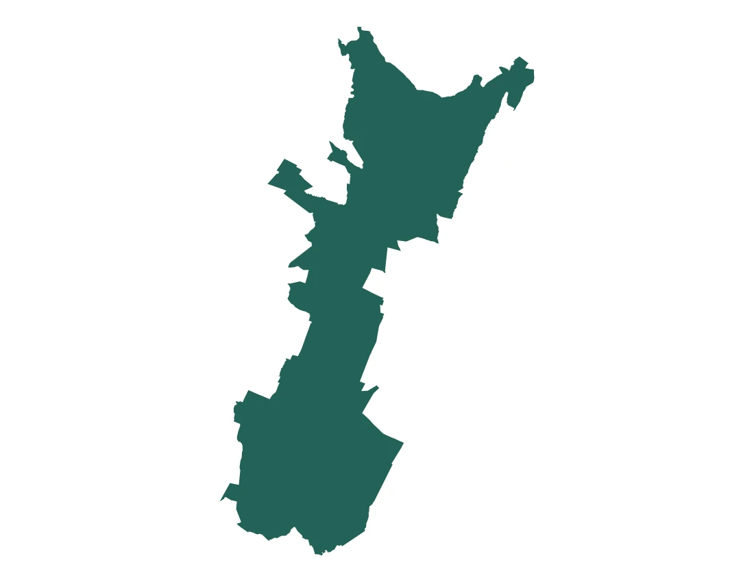 Forma con la figura de la microrregión Acatzingo