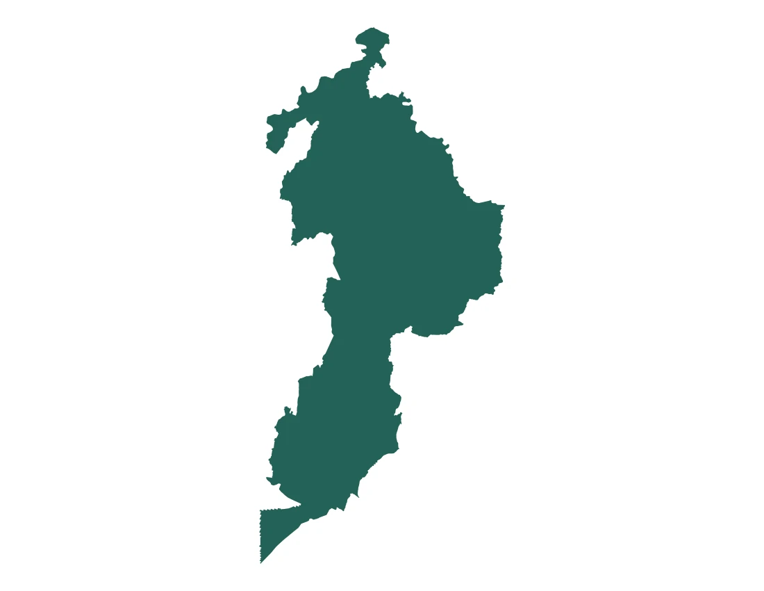 Forma con la figura de la microrregión Tlatlauquitepec