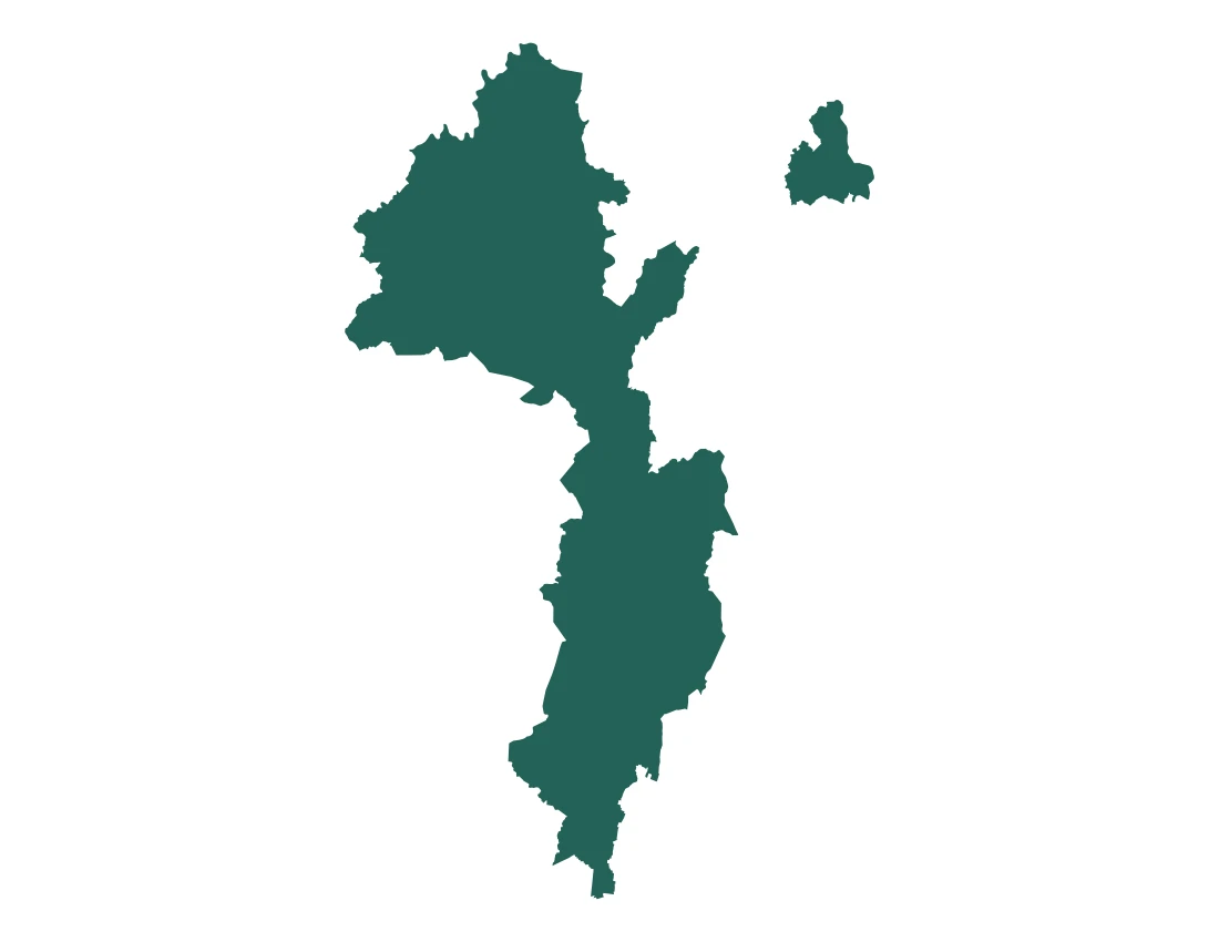 Forma con la figura de la microrregión Zacapoaxtla