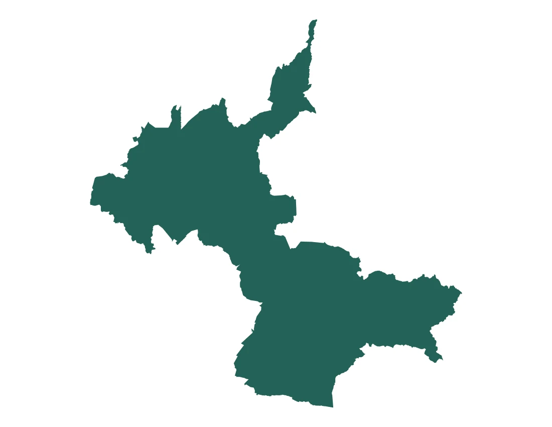 Forma con la figura de la microrregión Libres