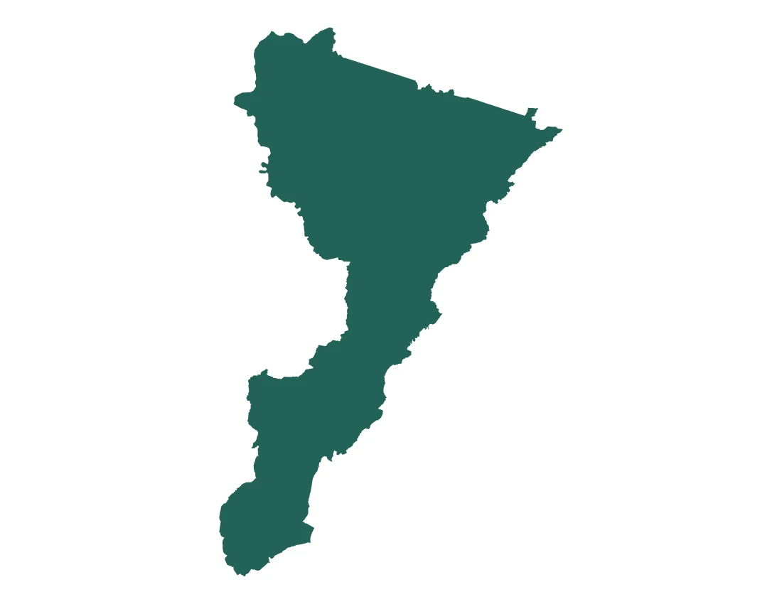 Forma con la figura de la microrregión Teziutlán