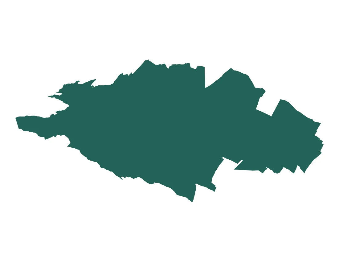 Forma con la figura de la microrregión Huejotzingo