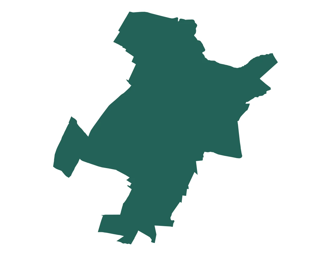 Forma con la figura de la microrregión Puebla