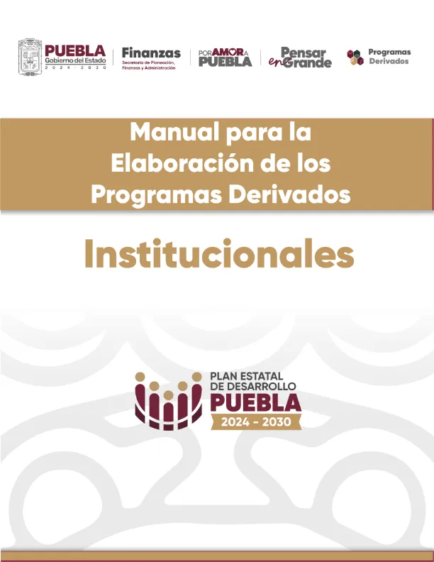 Portada de Manual para la Elaboración de los Programas Derivados Institucionales
