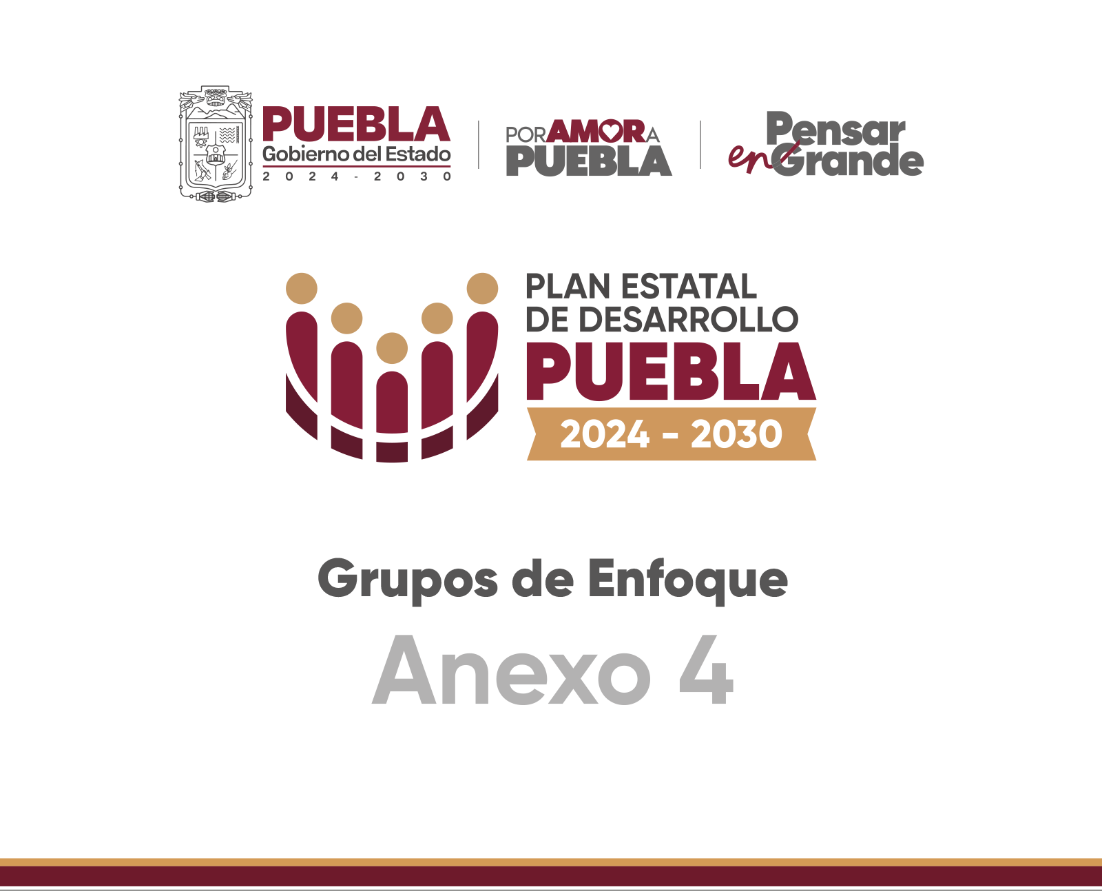 Anexo 4: Grupos de Enfoque