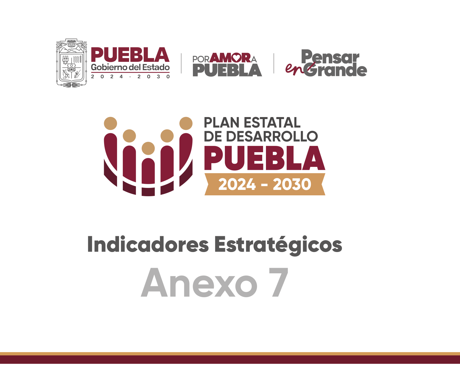 Anexo 7: Indicadores Estratégicos