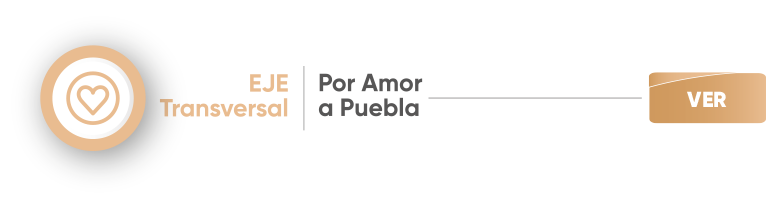 Descripción del Eje 6 del PED