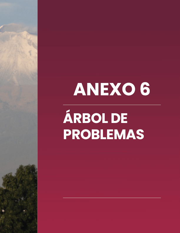 Portada Anexo 6