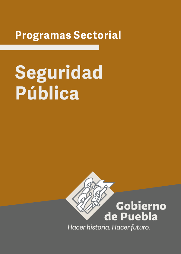 Programa Sectorial Seguridad Pública