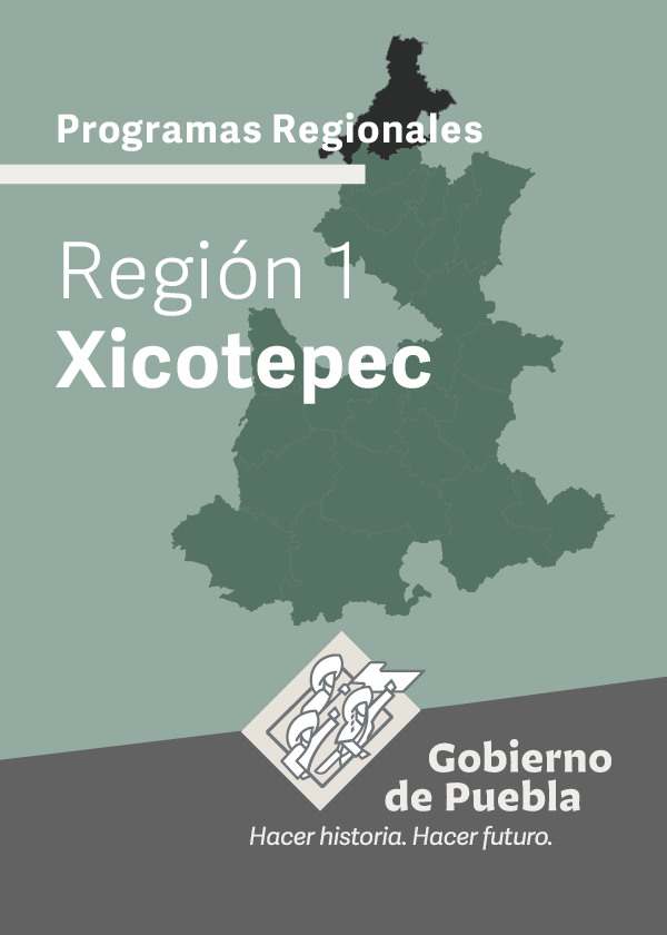 Programa Regional Región 1 Xicotepec