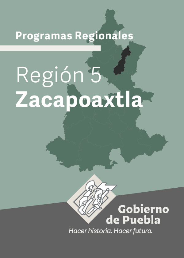 Programa Regional Región 5 Zacapoaxtla