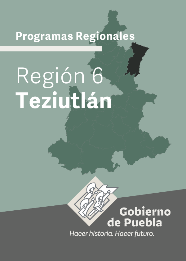 Programa Regional Región 6 Teziutlán