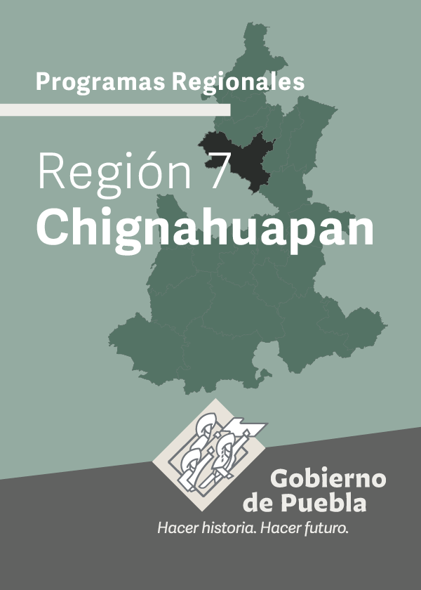 Programa Regional Región 7 Chignahuapan