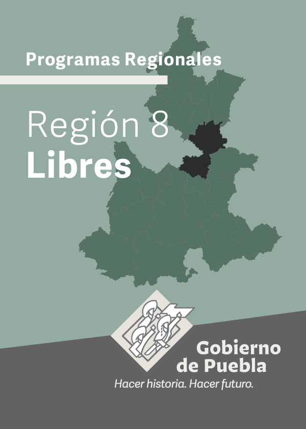 Programa Regional Región 8 Libres