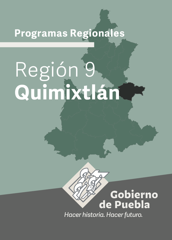 Programa Regional Región 9 Quimixtlán