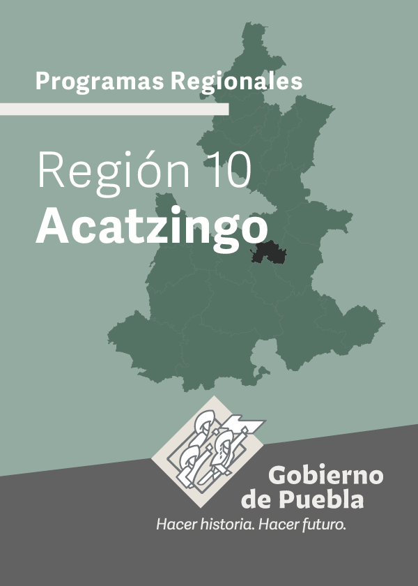 Programa Regional Región 10 Acatzingo