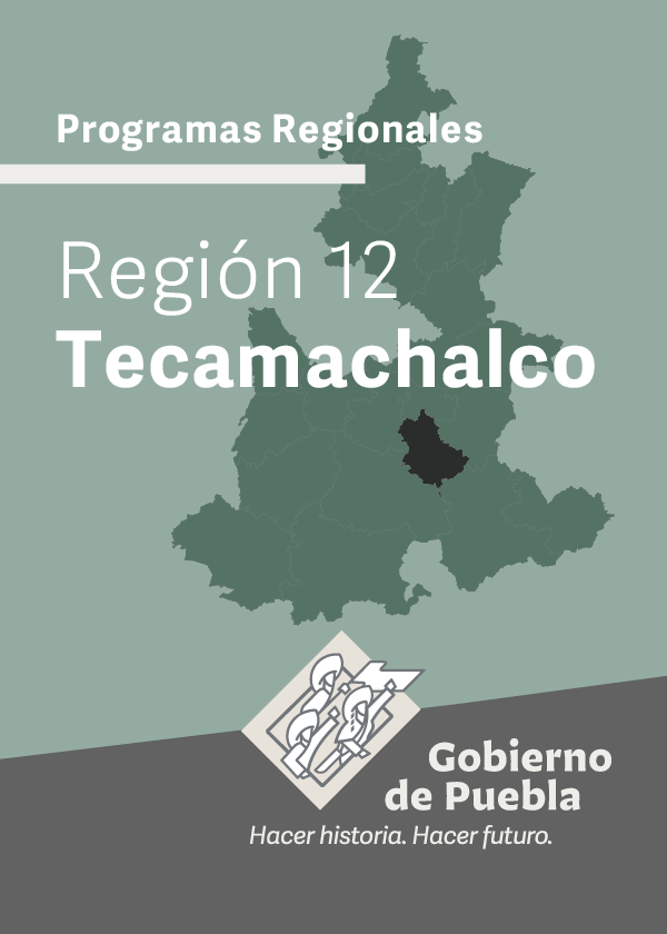 Programa Regional Región 12 Tecamachalco