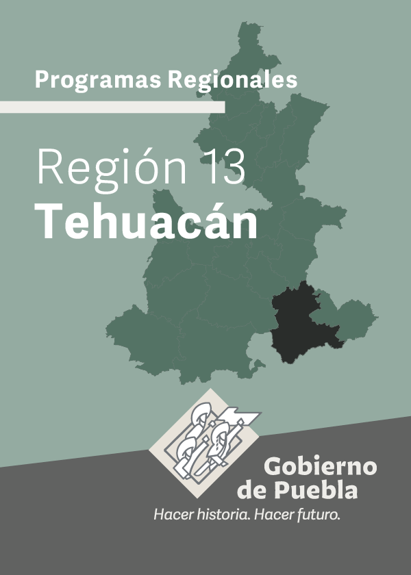 Programa Regional Región 13 Tehuacán
