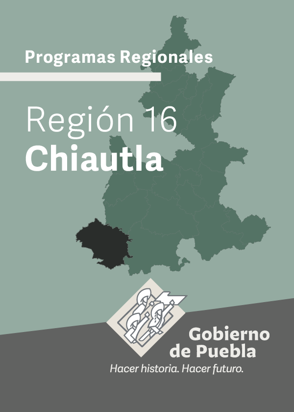 Programa Regional Región 16 Chiautla