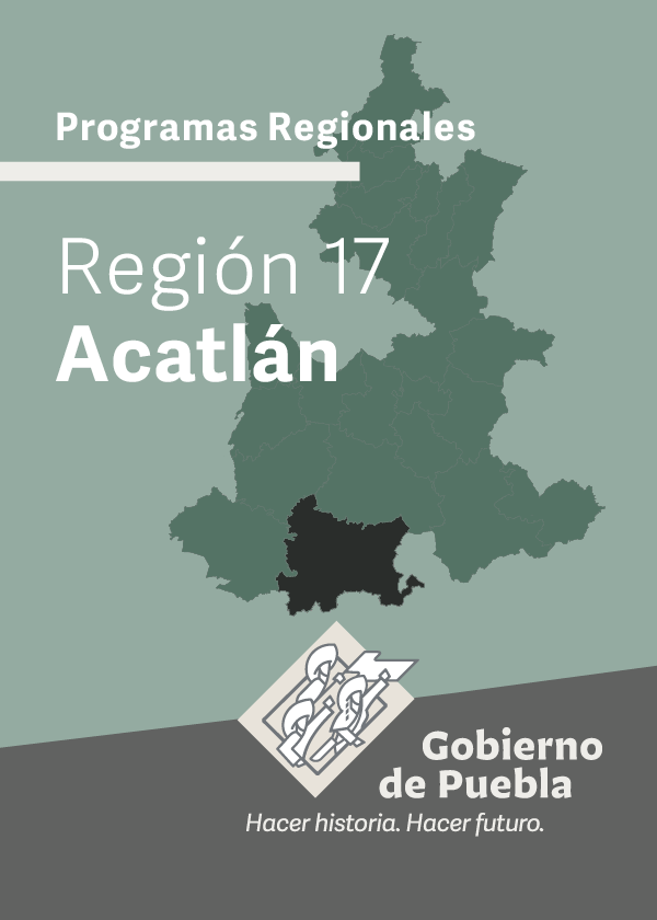 Programa Regional Región 17 Acatlán
