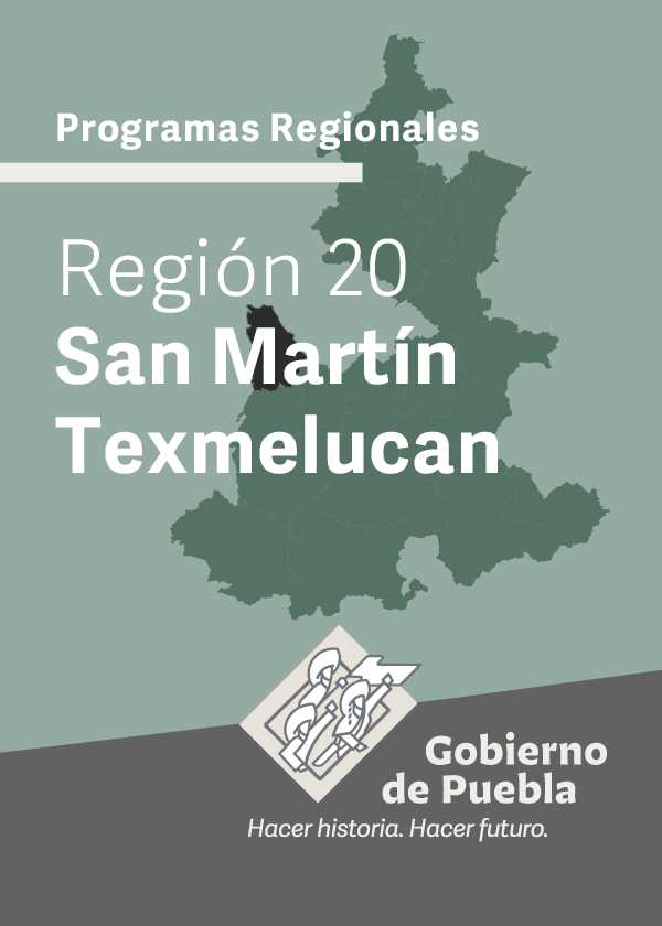 Programa Regional Región 20 San Martín Texmelucan