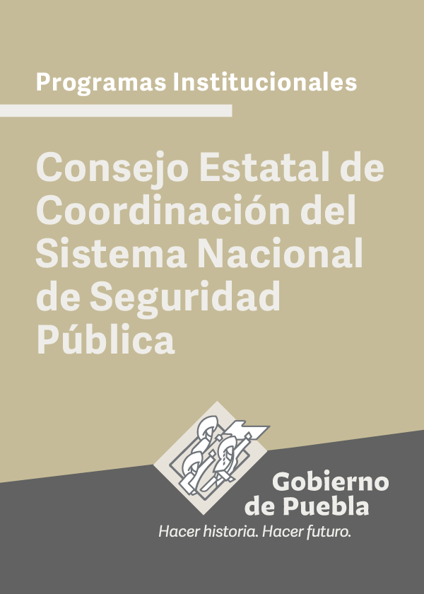 Programa Institucional Consejo Estatal de Coordinación del Sistema Nacional de Seguridad Pública