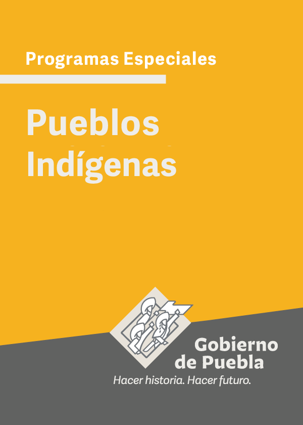 Programa Especial Pueblos Indígenas