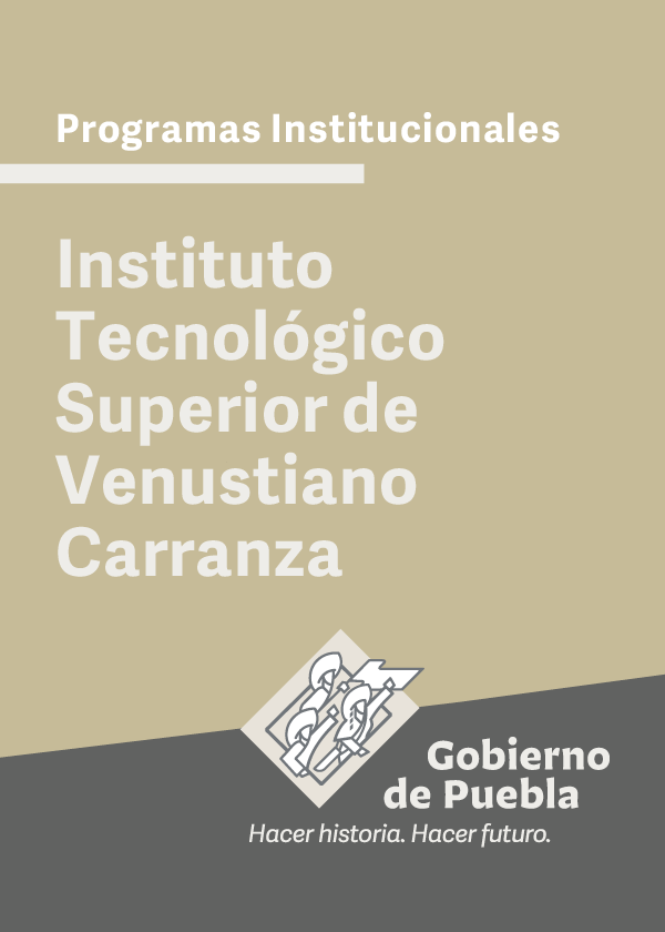 Programa Institucional Instituto Tecnológico Superior de Venustiano Carranza