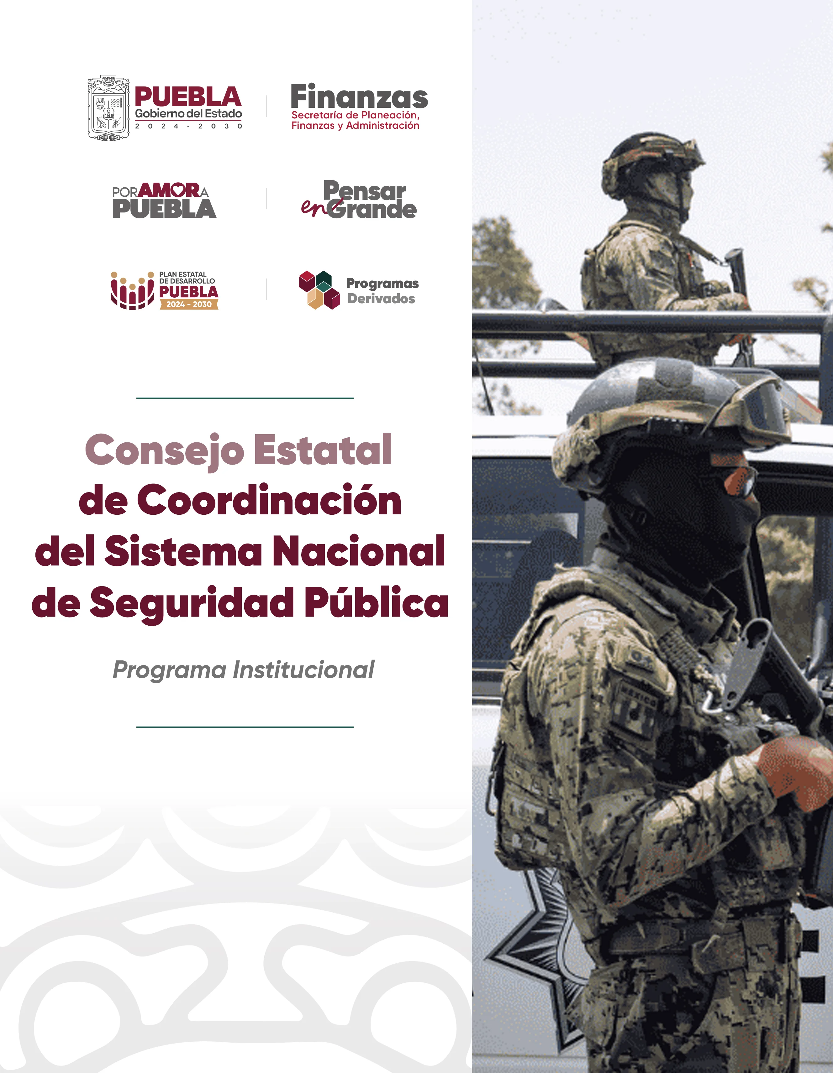 Portada de Programa Institucional Consejo Estatal de Coordinación del Sistema Nacional de Seguridad Pública