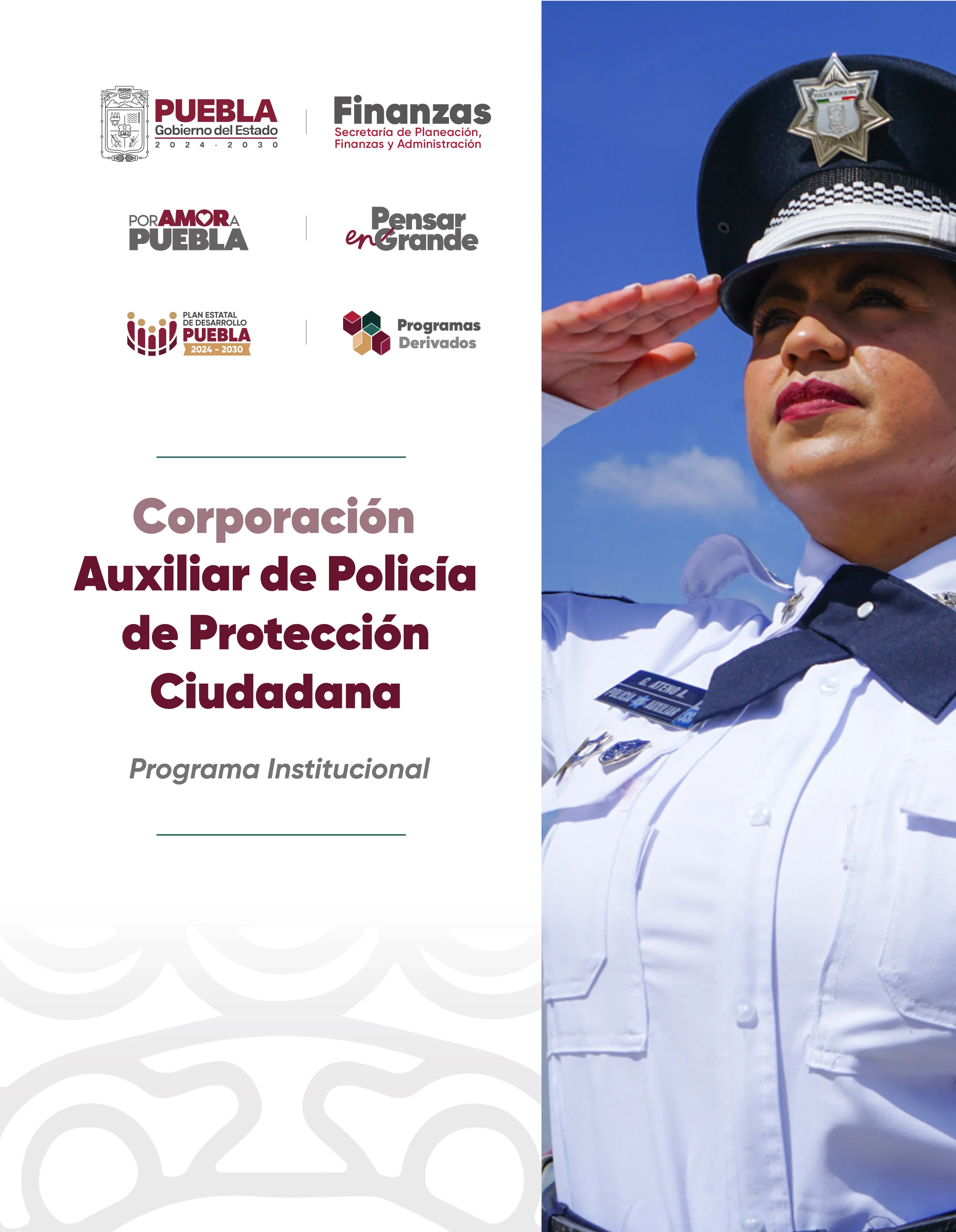 Portada de Programa Institucional Corporación Auxiliar de Policía de Protección Ciudadana