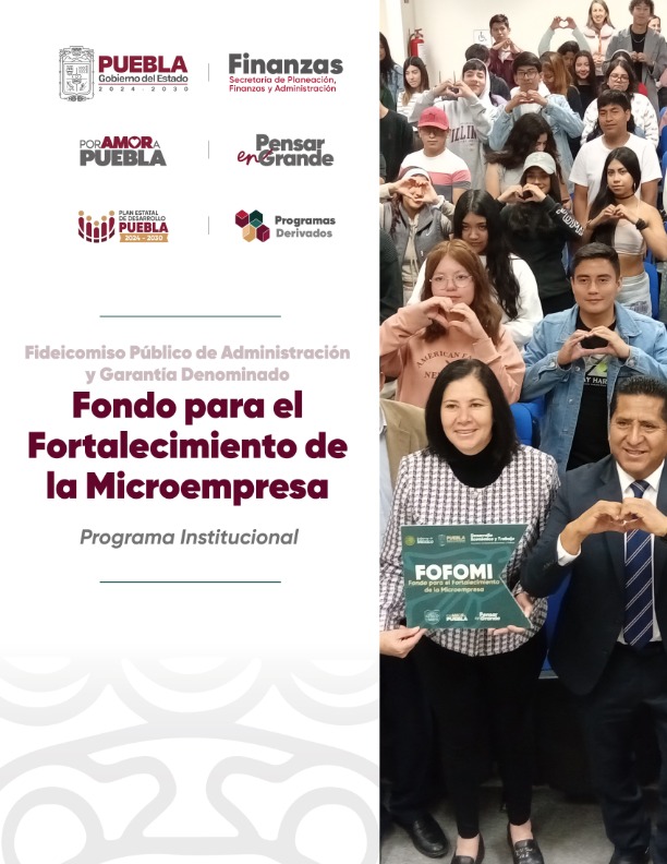 Portada de Programa Institucional del Fideicomiso Público de Administración y Garantía  Denominado Fondo para el Fortalecimiento de la Microempresa