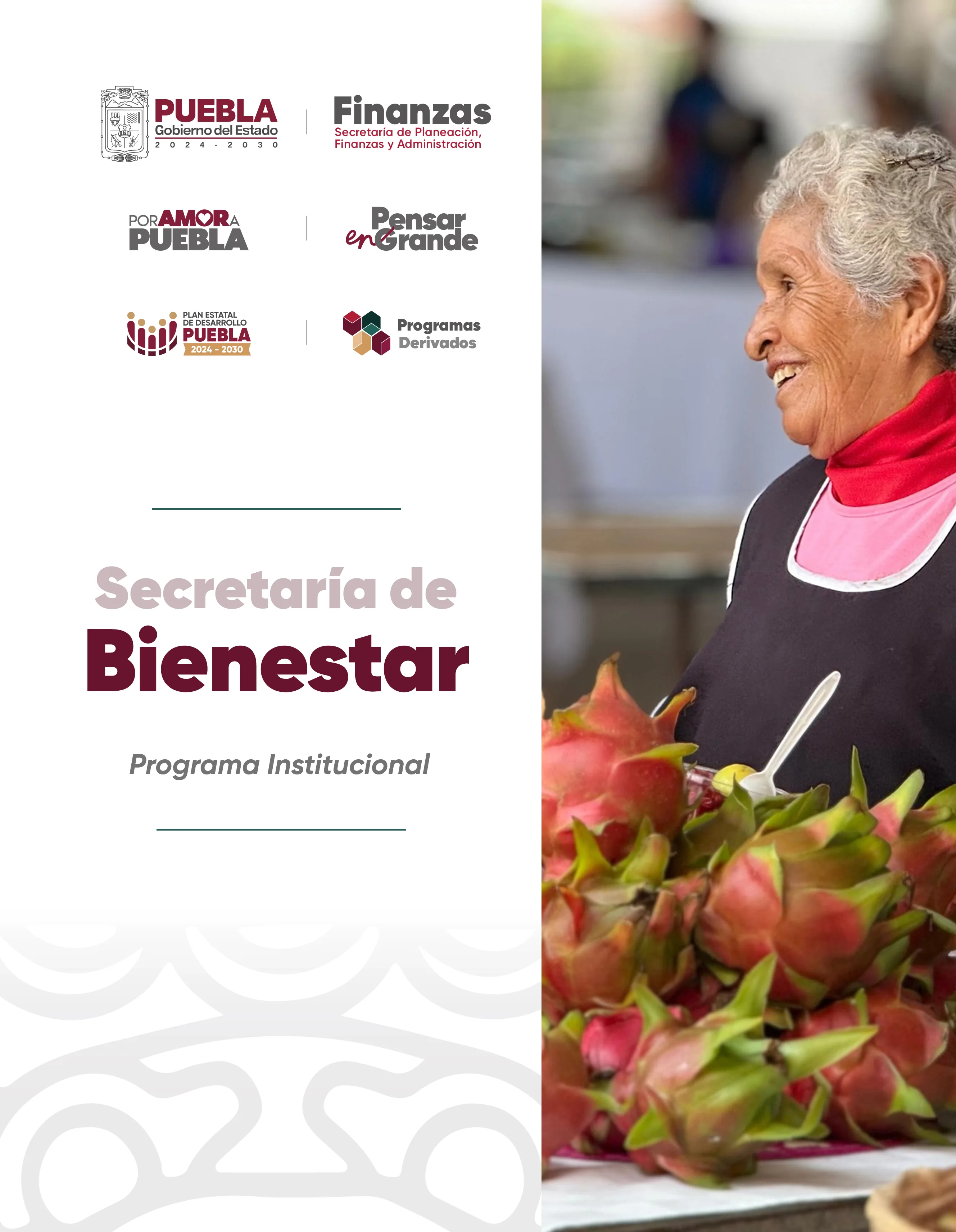 Portada de Programa Institucional Secretaria de  Bienestar