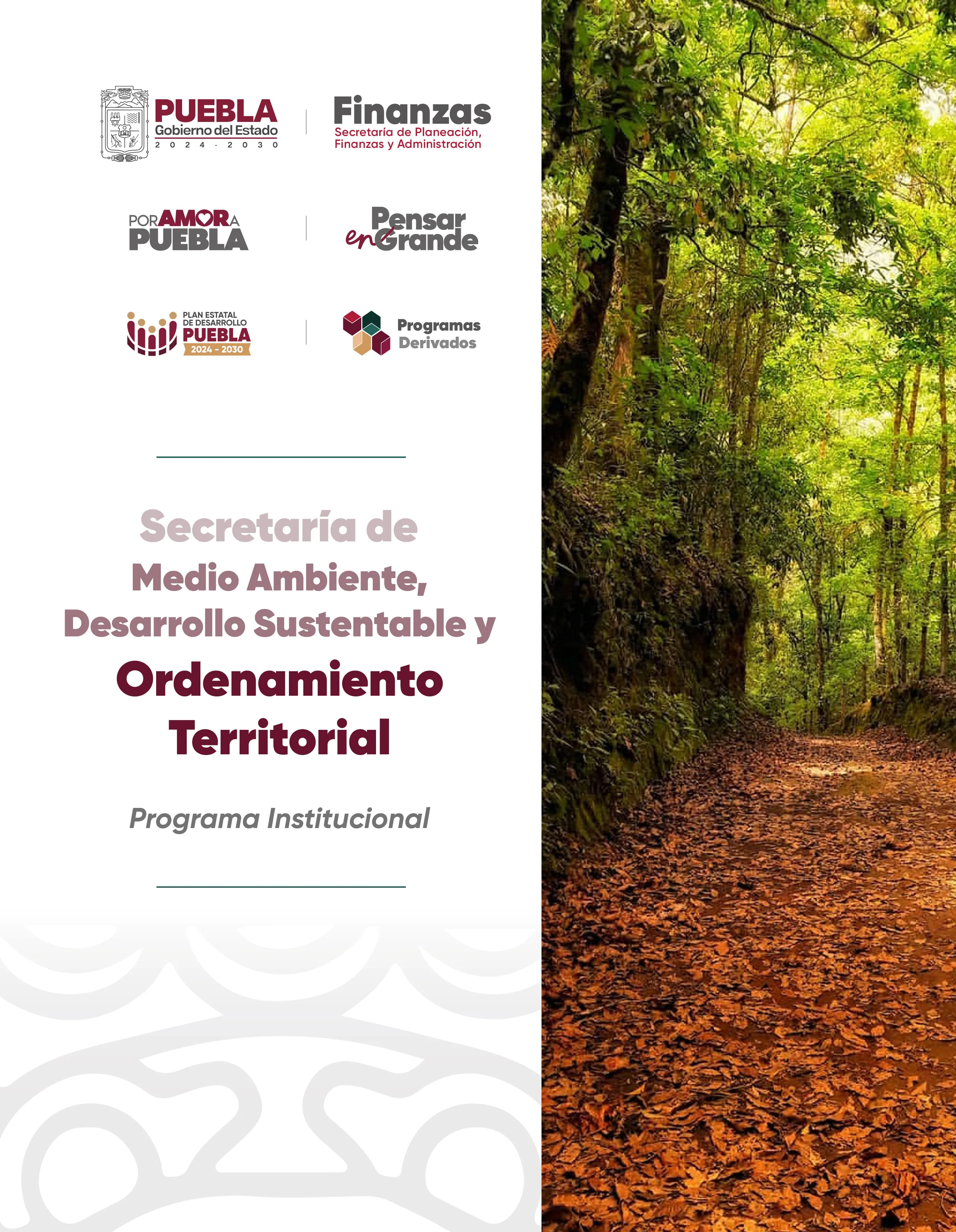 Portada de Programa Institucional Secretaría de Medio Ambiente