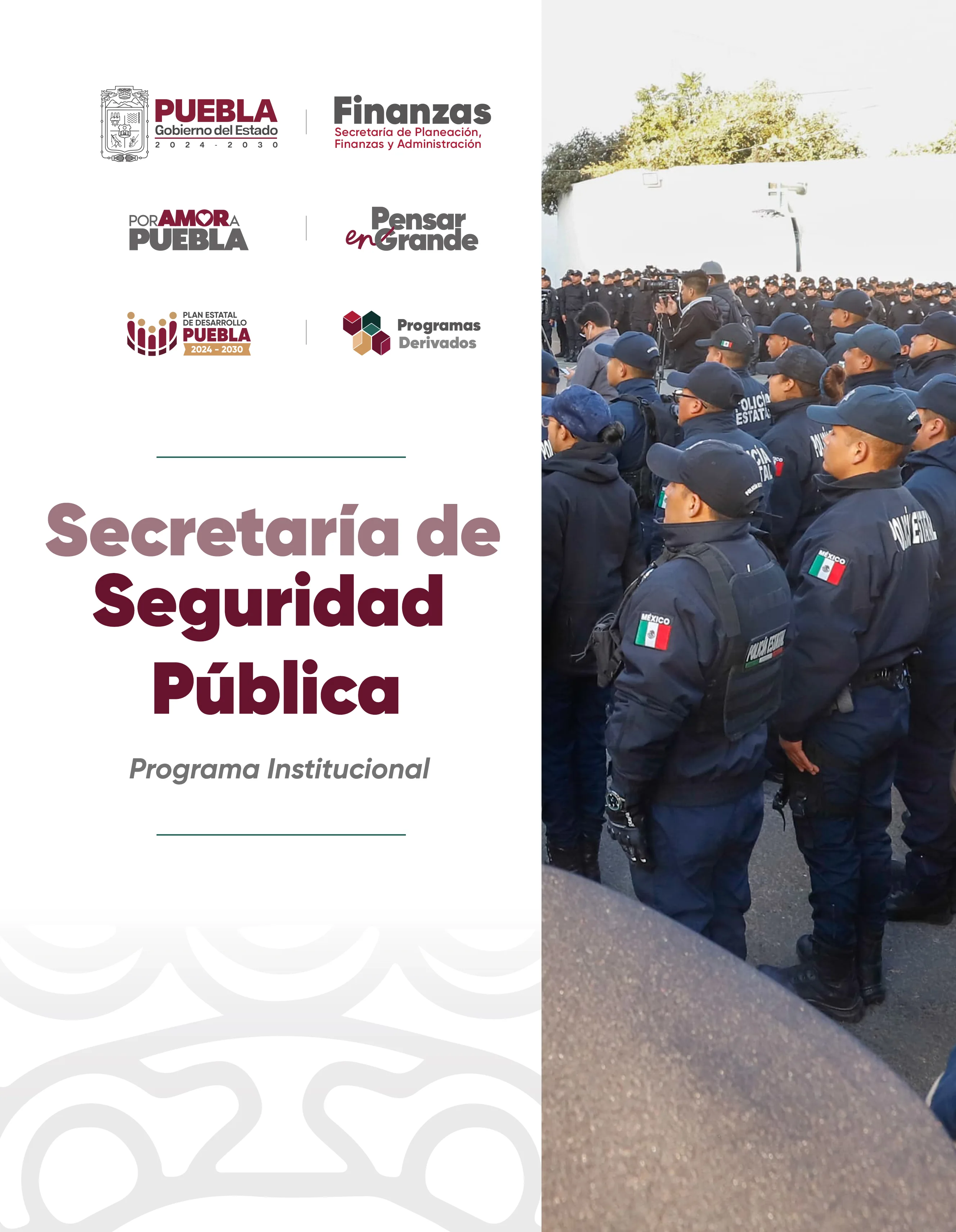 Portada de Programa Institucional Secretaría de Seguridad Pública