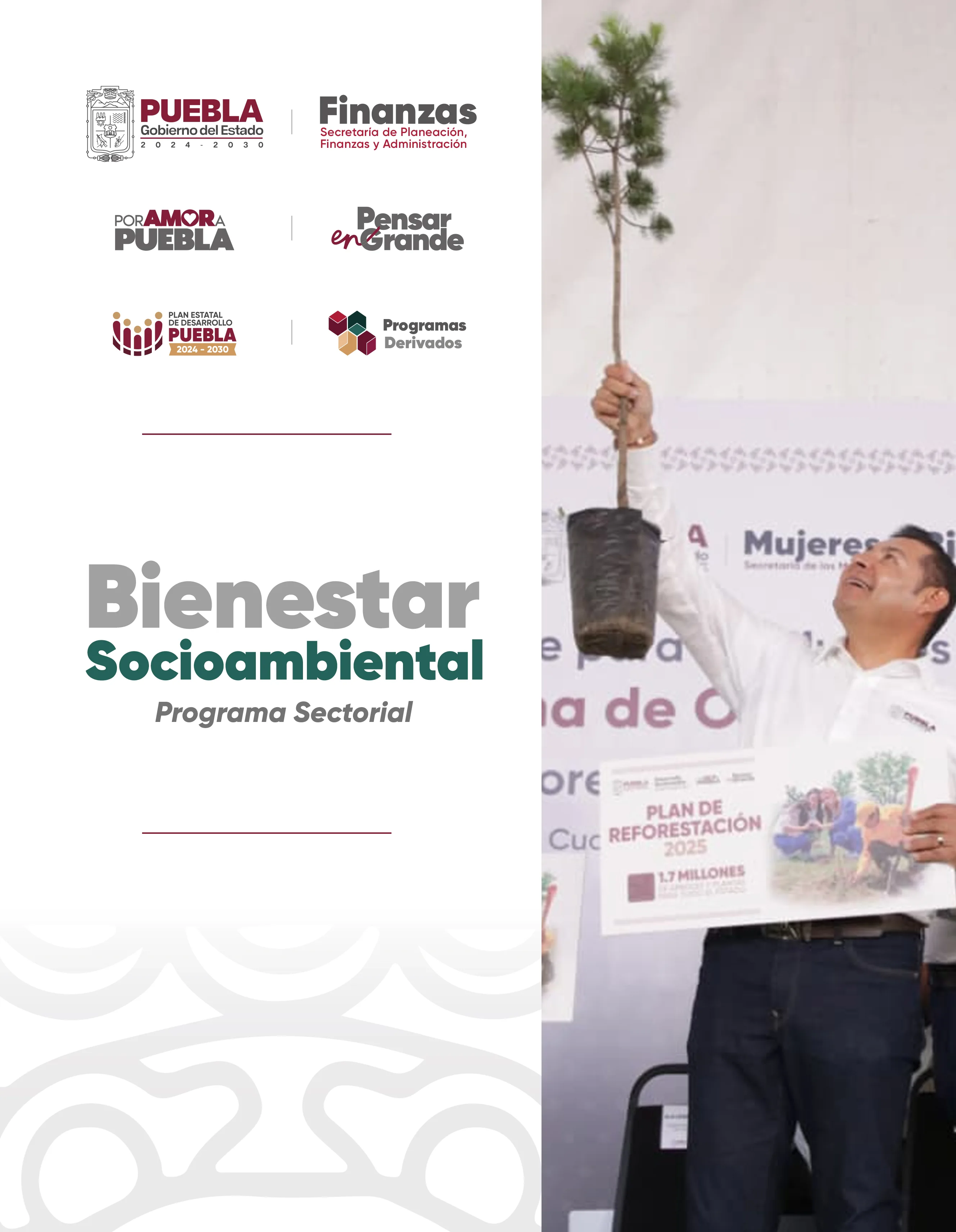 Portada de Programa Sectorial Bienestar Socioambiental