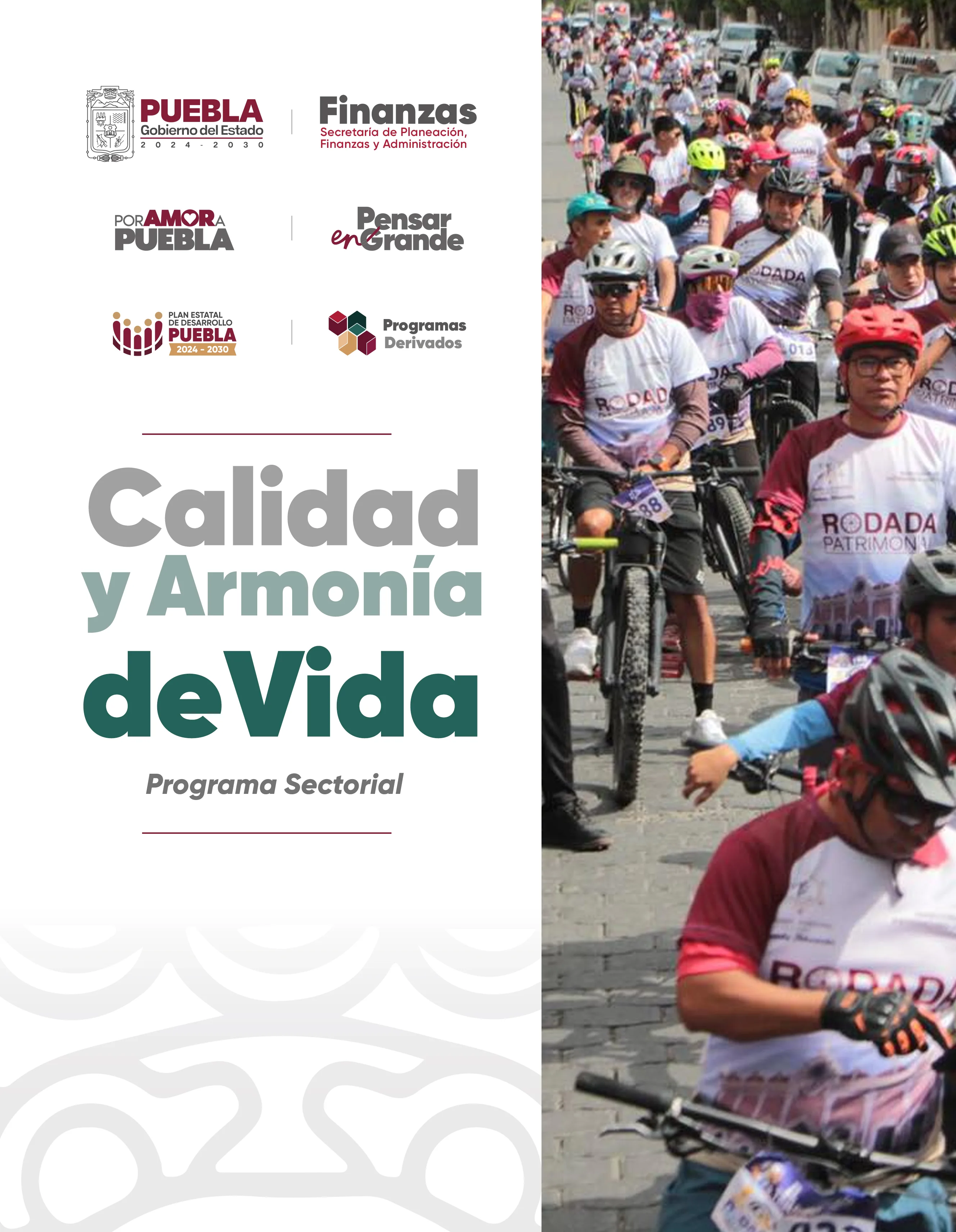 Portada de Programa Sectorial Calidad y armonía de vida