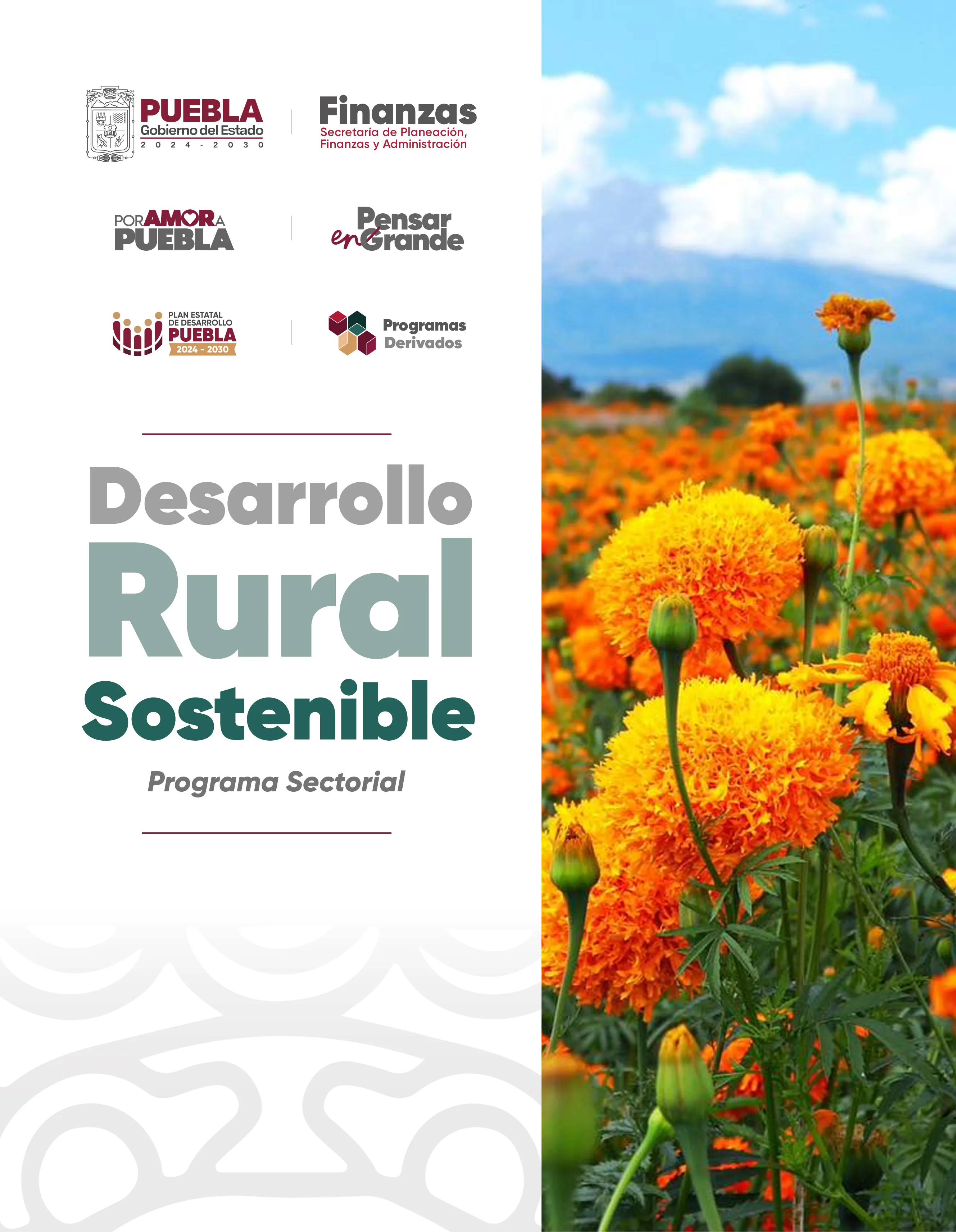 Portada de Programa Sectorial Desarrollo Rural Sostenible
