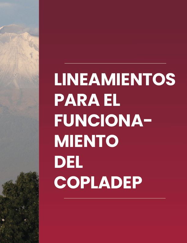 Portada de Documento Lineamientos para el Funcionamiento del Comité de Planeación para el Desarrollo del Estado de Puebla