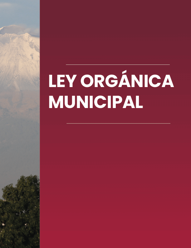 Portada de Documento Ley Orgánica Municipal