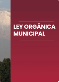 Portada de Documento Ley Orgánica Municipal